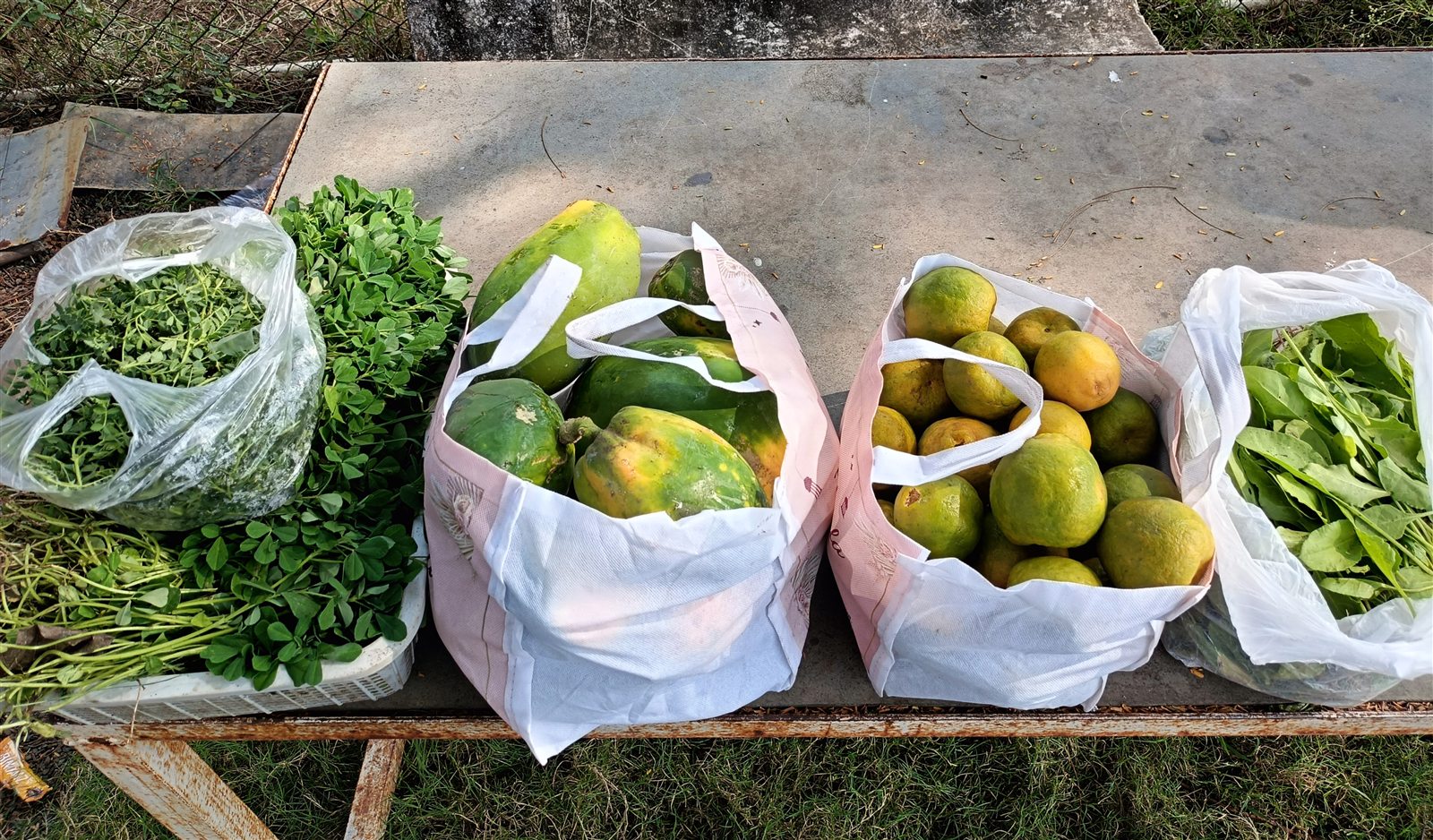 Organic Vegetables